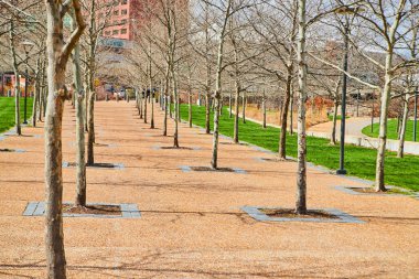 İlkbahar ağaçlarıyla dolu şehir parkı yürüyüş yolu resmi