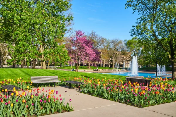 Obrázek Městského Parku Fontánami Nádhernou Jarní Tulipánovou Zahradou Všech Barev — Stock fotografie