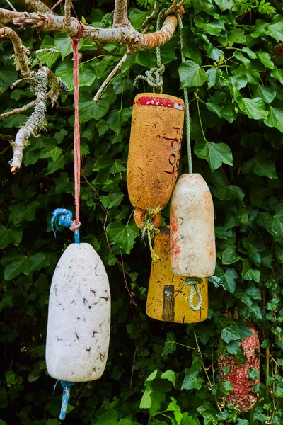 Imagen Los Objetos Espuma Bullet Decorando Árbol Bosque — Foto de Stock