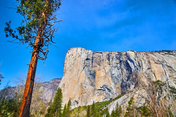 Imagem Colorido Capitan Yosemite Plena Luz — Fotografia de Stock