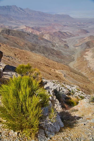 Immagine Piante Rocce Desertiche Con Montagne Pianure Desertiche Lontananza — Foto Stock