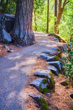 Yosemite dağlarında yokuş yukarı giden şaşırtıcı yürüyüş yolunun görüntüsü