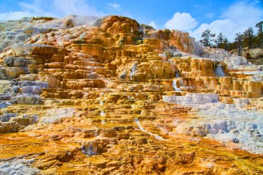 Yellowstone 'da Devils Thumb sıcak bahar teraslarının sonsuz renkleri