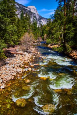 Çam ağaçlarıyla çevrili Yosemite dağlarının yanındaki çağlayan nehrin görüntüsü