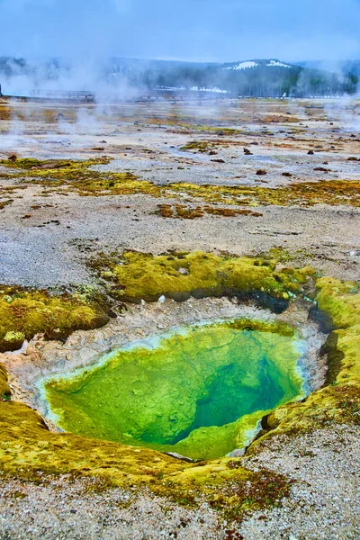 Bild Grönt Alkaliskt Vatten Fyller Gejser Vid Yellowstone Bassängen — Stockfoto