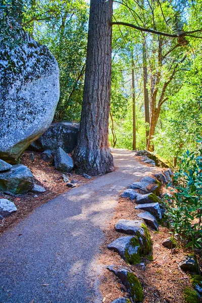 Kuva Vaellus Polku Ylös Yosemite Vuoret Vuorattu Kiviä — kuvapankkivalokuva
