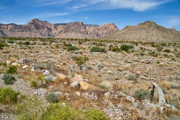 Image Desert Landscape Small Mountains Background — Stock Photo, Image