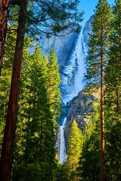 Obraz Pokrytego Mrozem Wodospadu Yosemite Początku Kwietnia Otoczony Tętniącymi Życiem — Zdjęcie stockowe