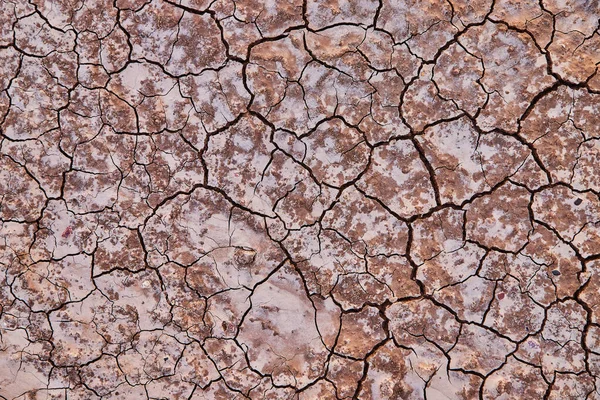 Image of Desert texture asset looking down on cracks in dirt