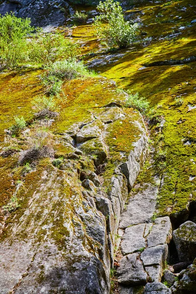 Kuva Yksityiskohtaisesti Kallioseinät Peitetty Sammalta — kuvapankkivalokuva
