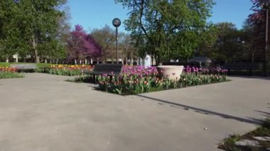 Fort Wayne, Indiana 'daki Freimann Meydanı' ndaki Güzel lale Bahçeleri 'nin videosu.