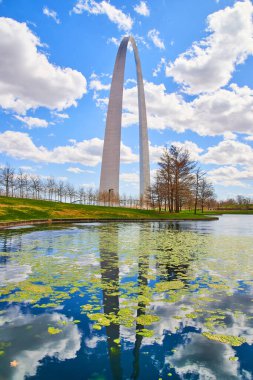 Pond 'un yosun yosunlu görüntüsü. Yazan: Gateway Arch