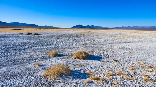Изображение Кустарников Белом Песке Пустынной Антенны Долины Смерти — стоковое фото
