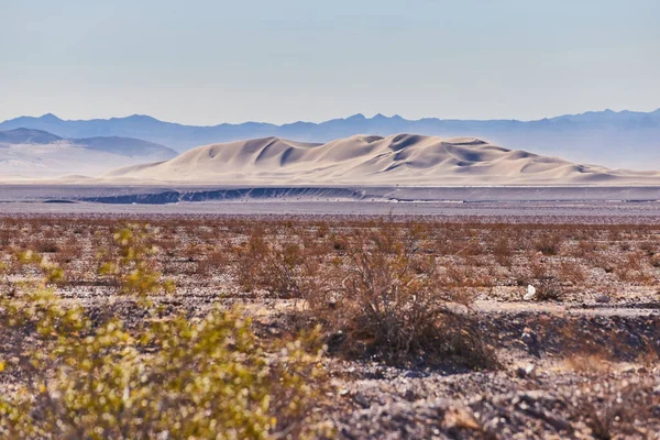 Image Sand Dunes Middle Open Desert Landscape — Stock Photo, Image