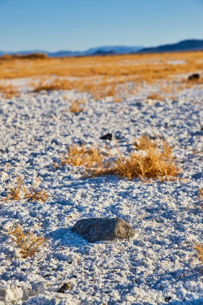 Afbeelding Van Eenzame Rots Rustend Wit Zand Woestijn Met Korte — Stockfoto