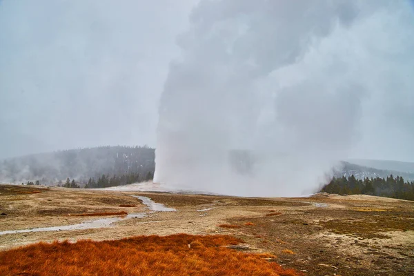Öreg Hűség Képe Terv Szerint Halad Yellowstone Télen — Stock Fotó
