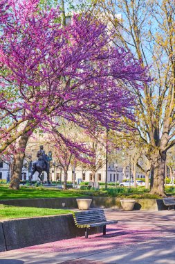 Fort Wayne Parkı 'nda, parktaki bankta ve yaprak yığınıyla sersemletici pembe kiraz ağacı.