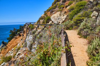 Sandy 'nin okyanus kıyısındaki uçurumların yanındaki yürüyüş yolu.