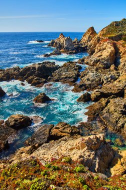 Okyanus dalgalarının bahar çiçekleriyle kayalık kıyılara çarptığı görüntüler