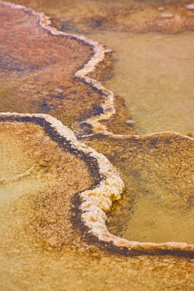 Imagen Mirar Cerca Algunos Estantes Terraza Las Aguas Termales Yellowstone —  Fotos de Stock