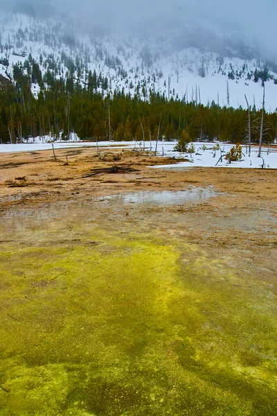 Imagen Montañas Nevadas Nebulosas Por Peligrosos Charcos Yellowstone Color Verde — Foto de Stock