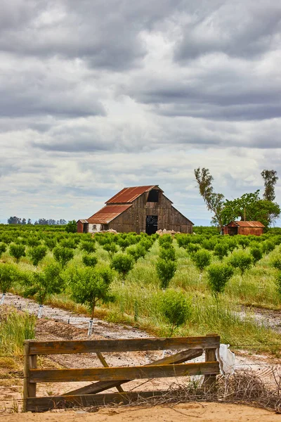 Imagem Celeiro Vermelho Antigo Esgrima Torno Fazenda Frutas Primavera — Fotografia de Stock