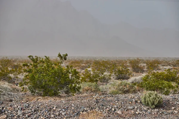 Image Sandstorm Desert Landscape Low Visibility — Stock Photo, Image