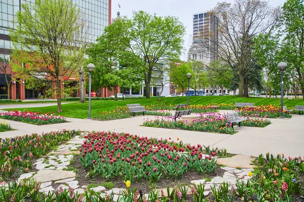 Fort Wayne, Indiana 'daki çarpıcı bahar lale bahçelerinin görüntüsü