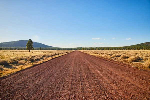 Image of Red dirt road in desert landscape leading straight into the horizon