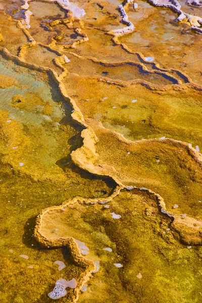 Imagen Textura Cerca Terrazas Termales Yellowstone —  Fotos de Stock