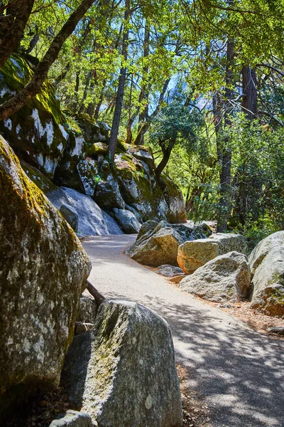 Imagen Sendero Pavimentado Serpenteando Través Rocas Hacia Bosque Yosemite —  Fotos de Stock