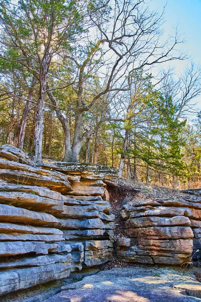 上に春の森のある崖の岩の層のイメージ — ストック写真