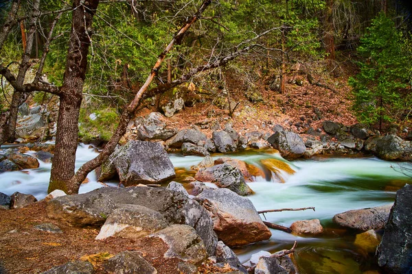 Taşlı Şelaleli River Görüntüsü Bahar Ağacının Yanına Düşer — Stok fotoğraf