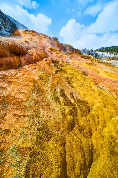 Image Mound Spring Filled Colorful Terraces Yellowstone Winter — Stock Photo, Image