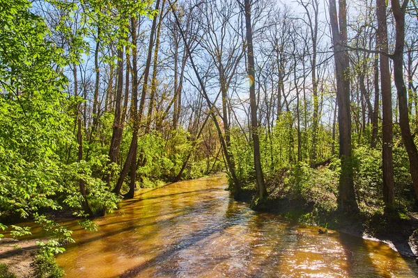 Bahar Ağaçlarıyla Kaplı Kahverengi Nehri Olan Bir Park Görüntüsü — Stok fotoğraf