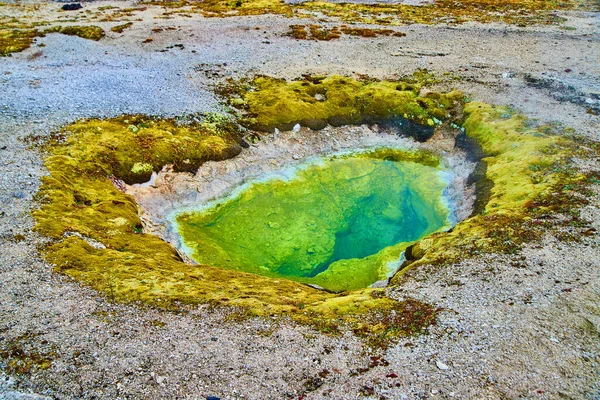 Imagen Géiser Pequeño Lleno Agua Alcalina Verde Yellowstone —  Fotos de Stock