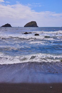 Image of Waves hitting black sand beach on west coast