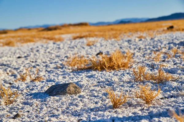 Kép Fehér Homok Rövid Sárga Füvek Magányos Szikla Sivatagban — Stock Fotó