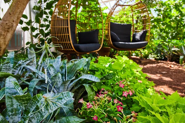 Image Succulent Plant Hanging Gardens Two Chairs Background — 스톡 사진
