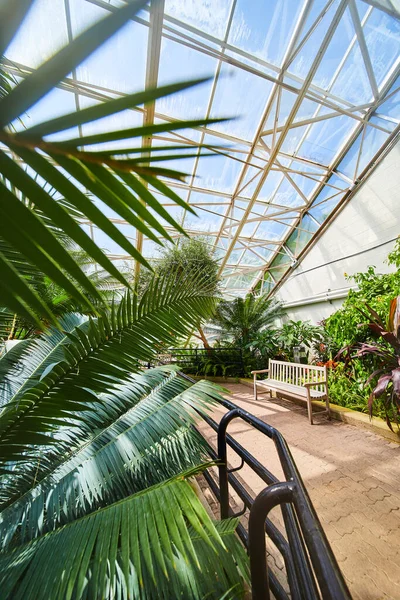 Image Rainforest Greenhouse Bench Path Glass Roof — 스톡 사진