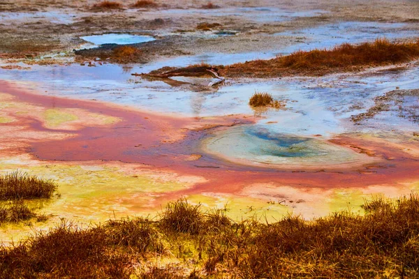 Image of Yellowstone alkaline waters of colorful pools in winter