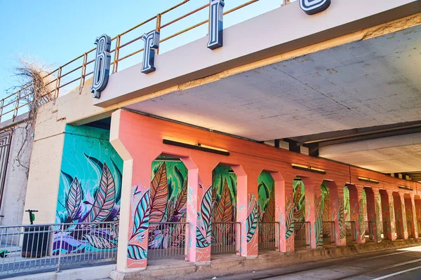Image Tunnel City Bridge Covered Colorful Feather Graffiti — Stock Photo, Image