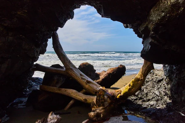 Image View Cave Opening Beach Blocked Logs — Stockfoto