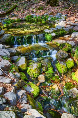 Yosemite 'nin yosunlu kayalar ve küçük şelaleli tuhaf eğreltiotu görüntüsü
