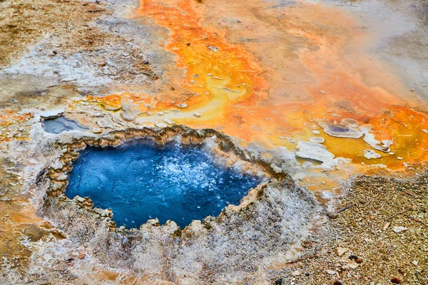 Image Close Small Chinese Spring Orange Runoff — Foto de Stock