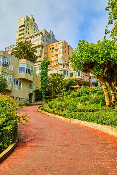 Image Variety Homes Lombard Street Stunning Curved Brick Road — Foto de Stock