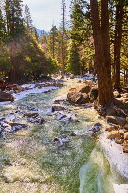 Image of Yosemite turquoise waters cascading over frosty rocks in pine tree forest
