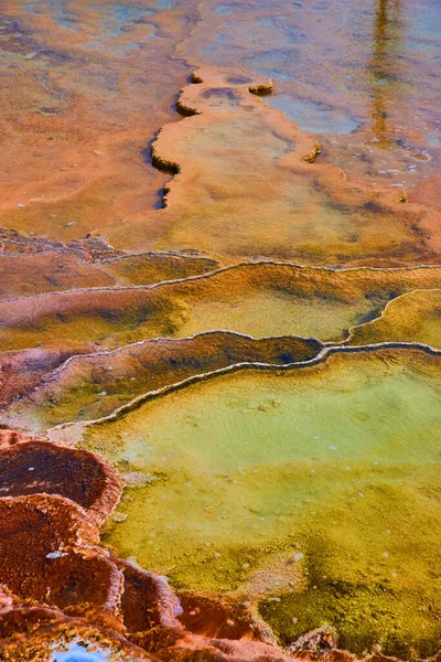 Image Yellowstone Stunning Hot Spring Terraces Close —  Fotos de Stock