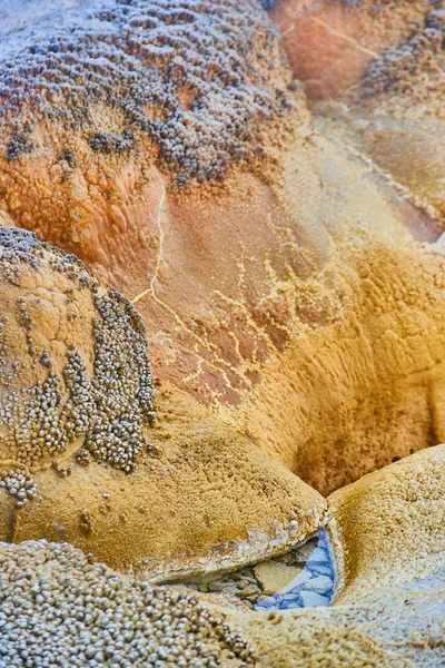 Imagem Yellowstone Detalhe Geyser Formações Alcalinas — Fotografia de Stock