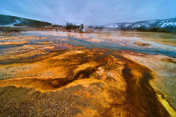 Image of Winter at Yellowstone basin with pools of alkaline water making colorful waves
